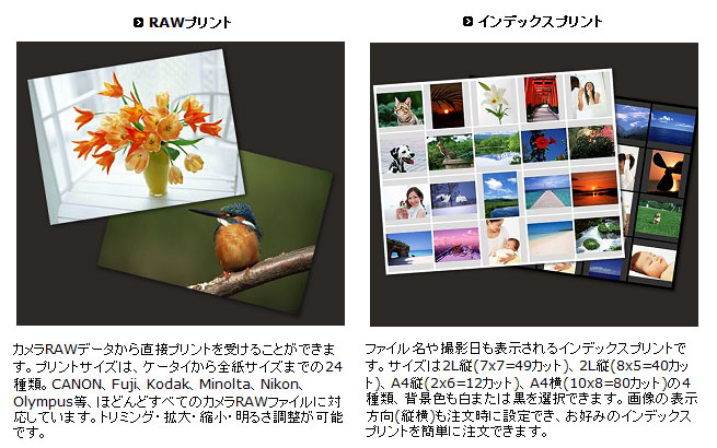 RAW�v�����g�E�C���f�b�N�X�v�����g