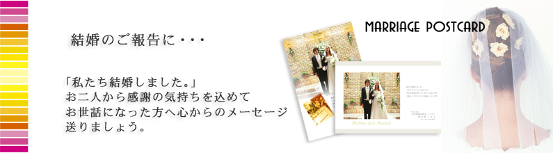 �����񍐃n�K�L